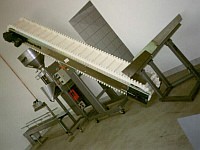 Inclined conveyor